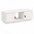 Table basse en bois blanc 100x50x35 cm
