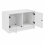Table basse moderne avec rangement et portes en verre